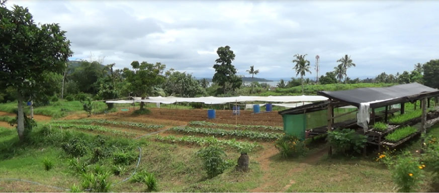 A shot on the other side of La Granja Farm. Aesthetics and farm landscaping are keenly observed once you enter La Granja.