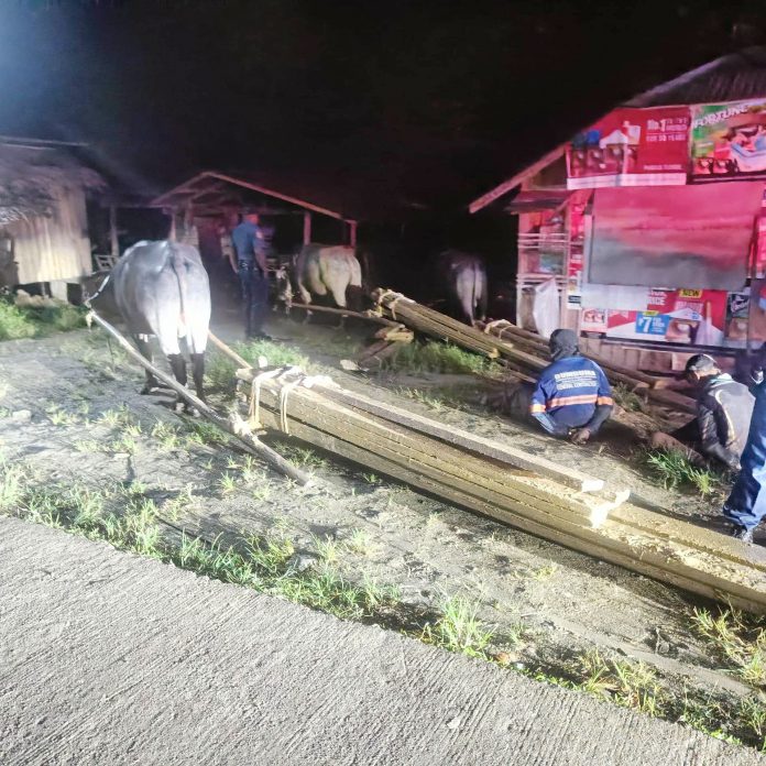 324831465_3116556541975117_3861947914198051394_n (1)