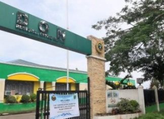 DOH reports significant drop in dengue cases in EV but cautions against complacency