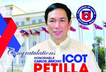Marcos appoints Gov.  Jericho Petilla as Eastern Visayas RDC chair