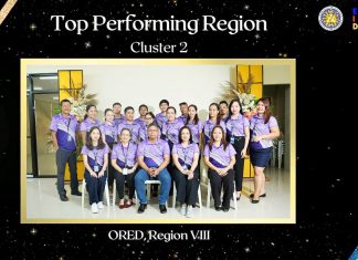 Comelec-8 bags top honor in national performance awards