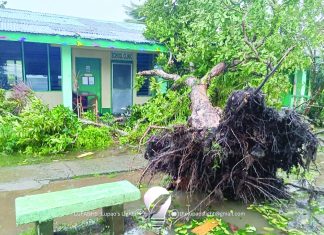 DepEd says that over 600 classrooms EV damaged in the aftermath of the storm