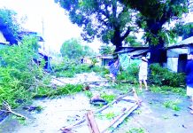 Silago town declares state of calamity after Typhoon ‘Tino’; zero casualty reported