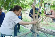 DOST launches agarwood processing training, strengthens Biliran’s bid for a sustainable forest-based industry