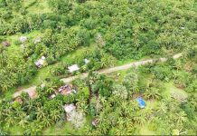 Newly-paved access road boosts mobility, livelihood in remote Jaro village
