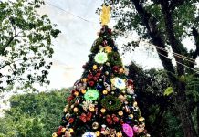 PRO-8 rings in Christmas with lanterns, trees, and festive cheer