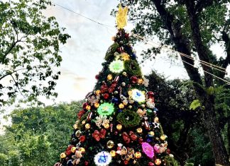 PRO-8 rings in Christmas with lanterns, trees, and festive cheer