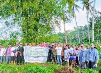 Biliran expands bamboo greenbelt, plants 100 bayog seedlings to protect riverbanks