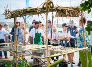 Cruise tourists get a warm, flavor-packed welcome on Biri Island’s third Coral Geographer visit