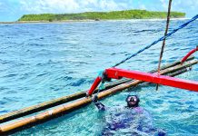 Borongan City emerges as the next potential premier dive destination in Eastern Visayas