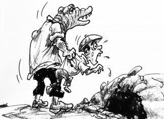 Politics at a glance