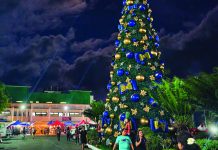 North Samar named national champion for renewable energy push