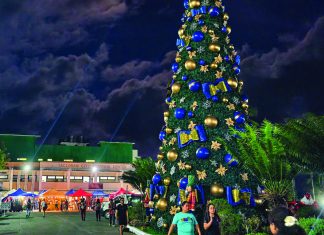 North Samar named national champion for renewable energy push