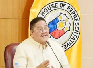 Libanan hails P35 wage hike in Eastern Visayas as step toward living wage