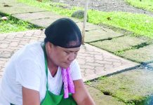 Reviving a sweet tradition: Carigara’s suman-making gets a fresh spotlight