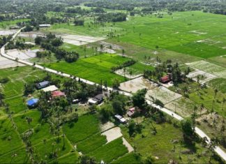 New 1.97-km concrete road in Dulag improves safety, boosts local connectivity