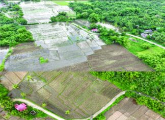 DPWH finishes 1.93-kilometer concrete road in Jaro, boosting rural access