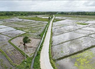 New DPWH road project improves access and safety in Mayorga, Leyte