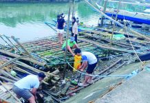 Catbalogan cracks down on dumping to save polluted Antiao River
