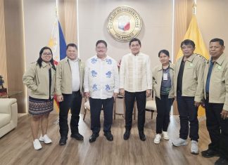 Funding secured for new power line to boost electricity supply in Eastern Samar