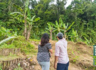 Northern Samar eyes abaca industrial park to boost value-adding, jobs