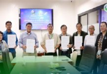 DENR, NGO partner to protect 74-hectare mangrove areas in Tacloban City