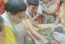 Leyte expands organic gardening training for at-risk families