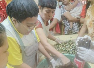Leyte expands organic gardening training for at-risk families