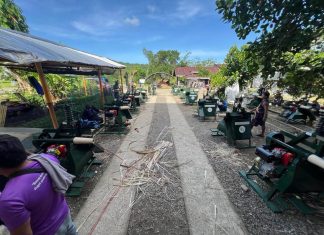 PhilFIDA rolls out abaca stripping machines to boost fiber production in Eastern Visayas