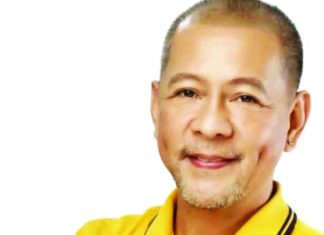 Biliran board member convicted over missing government property