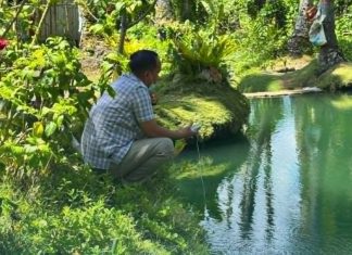DOST-8 assesses Calbayog hot spring for geothermal-based crop drying technology