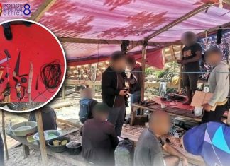 Nearly P2-M worth of illegal lumber seized in Northern Samar anti-logging operation