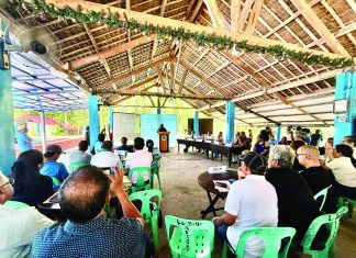 Stakeholders press environmental safeguards in MacArthur black sand mining talks