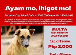 Tacloban City warns pet owners against letting dogs roam freely