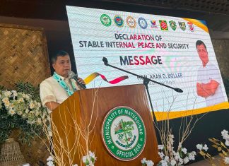 Matuguinao declared under stable peace status after years of anti-insurgency efforts