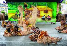 DOT-8 seeks stronger feedback to improve Samar fiesta tourism program