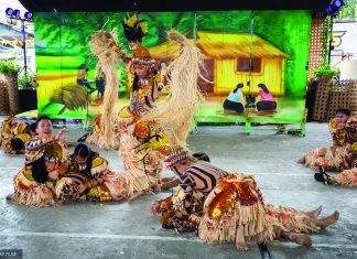 DOT-8 seeks stronger feedback to improve Samar fiesta tourism program