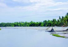 Dorelco eyes 5-MW hydropower project