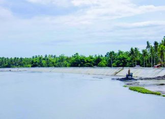 Dorelco eyes 5-MW hydropower project
