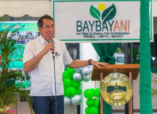 Baybay City to build P50-M housing project for government workers