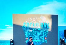 DOT-8 pushes balance between marine conservation and livelihood in Sogod Bay
