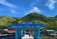 P25-M solar street light project set to benefit 20 barangays in Zumarraga
