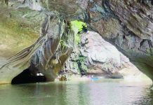 Samar leaders unite to seek UNESCO World Heritage status for island’s natural park