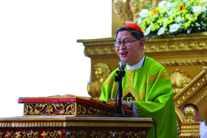 CARDINAL TAGLE1 (1) copy 2