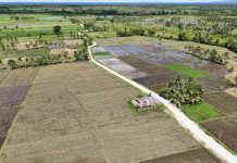 P19.6-M DPWH farm-to-market road eases transport for Leyte farmers