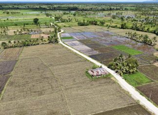 P19.6-M DPWH farm-to-market road eases transport for Leyte farmers