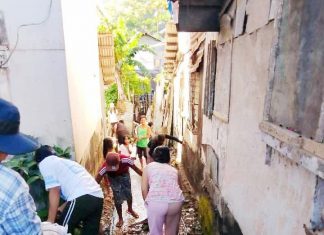 Chikungunya outbreak hits Samar town; 84 cases prompt intensified cleanup drive
