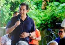 Rep. Romualdez seeks national agriculture education system to boost food security