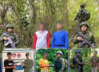 Four former rebels, supporters surrender in Eastern Visayas