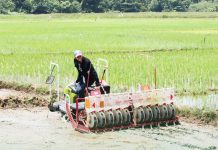 26 firms showcase rice technologies in Eastern Samar rice derby